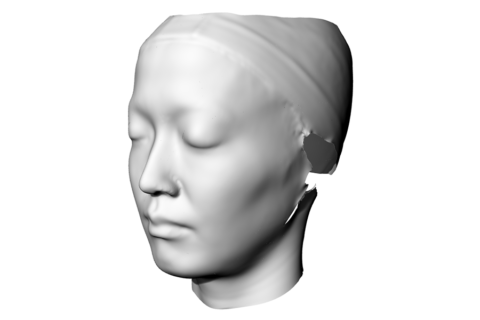 鍋谷選手の顔のスキャニングデータをもとにモデル化